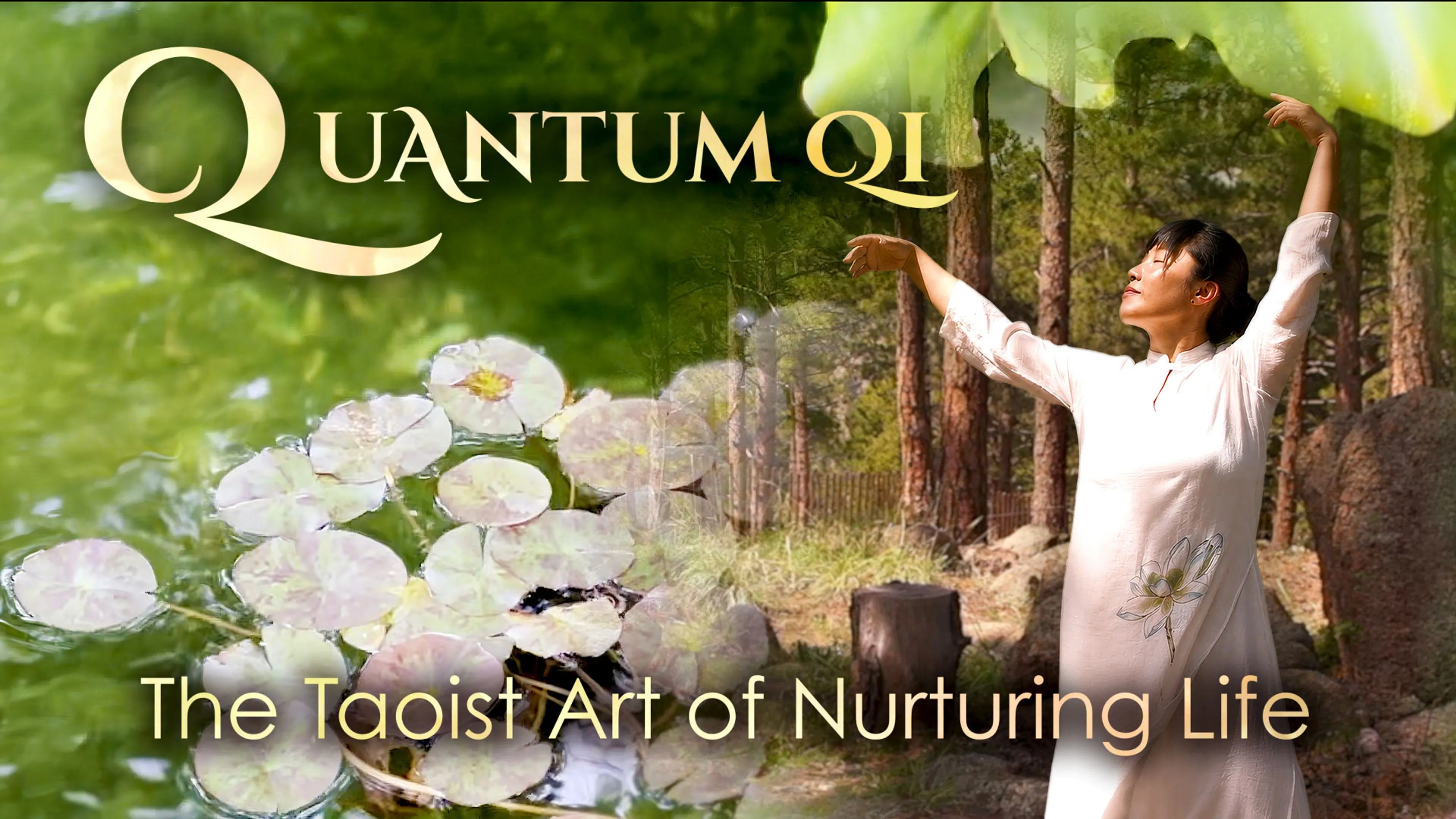 Title poster image
